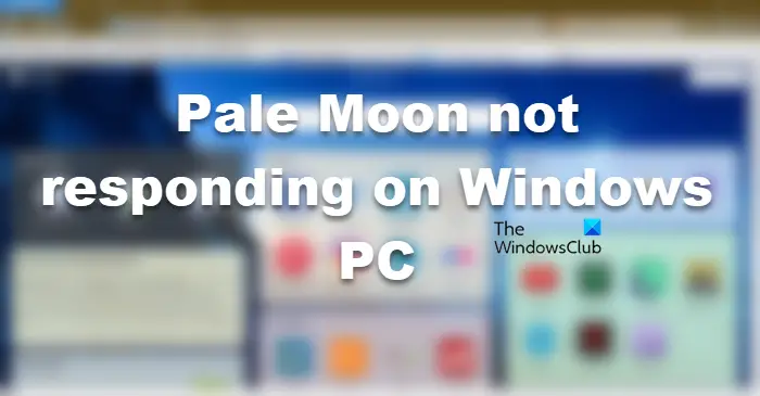 Pale Moon not responding on Windows PC