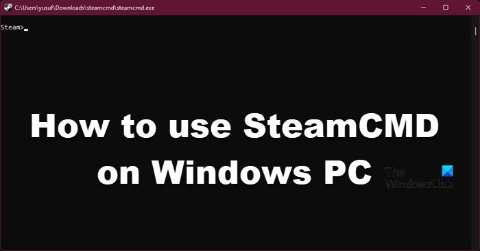 use SteamCMD on Windows PC