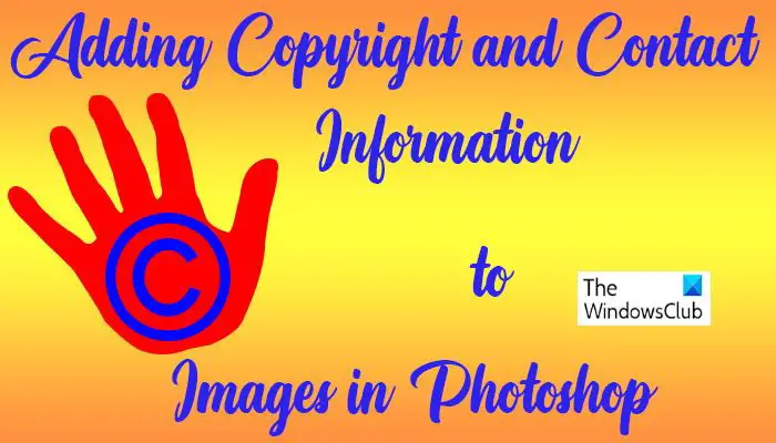 How to Add Copyright and Contact Information to Images in Photoshop