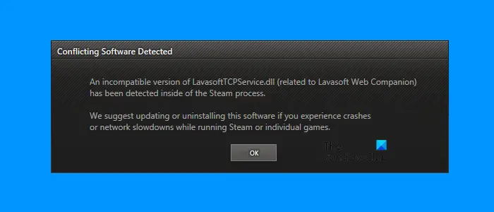 Conflicting software detected error in Steam