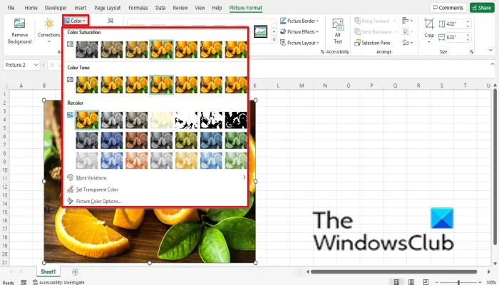 How to manipulate, format or edit an Image in Excel