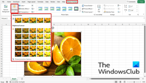 How to format or edit an image in excel