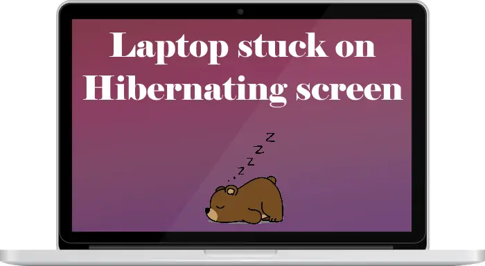 Laptop stuck on Hibernating screen