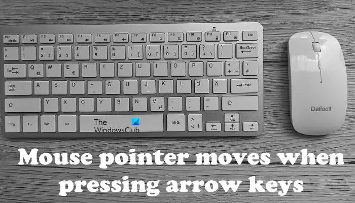 Mouse pointer moves when pressing arrow keys