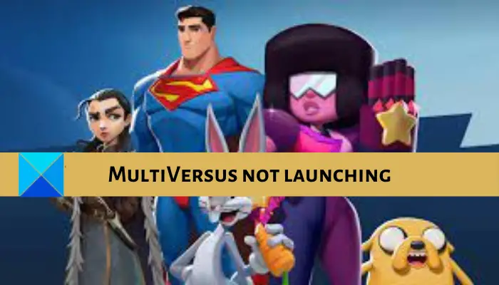 MultiVersus not launching