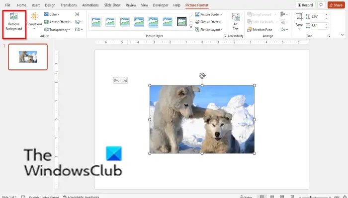 How to change the Background in PowerPoint