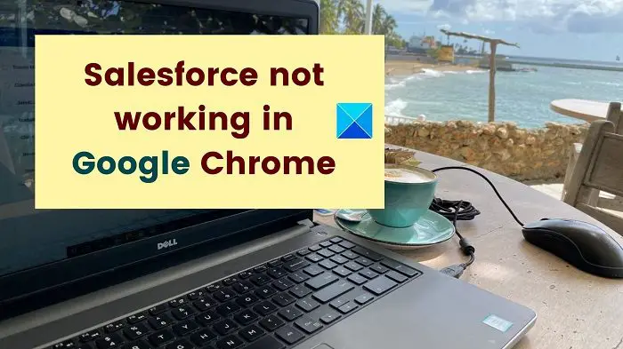 Salesforce not working Google Chrome