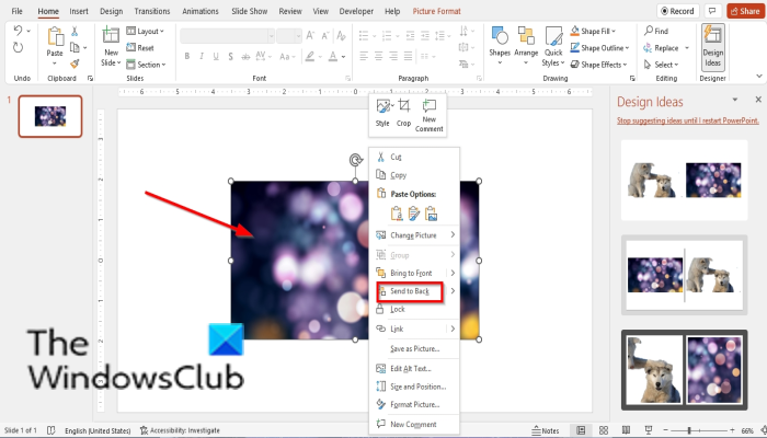 How to change the Background in PowerPoint