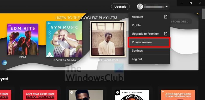 Fix Spotify Something Went Wrong error on Windows PC
