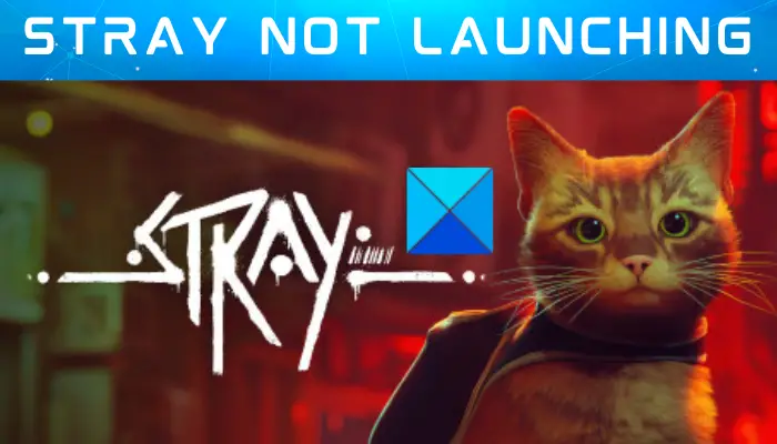 Stray not launching or opening on Windows PC