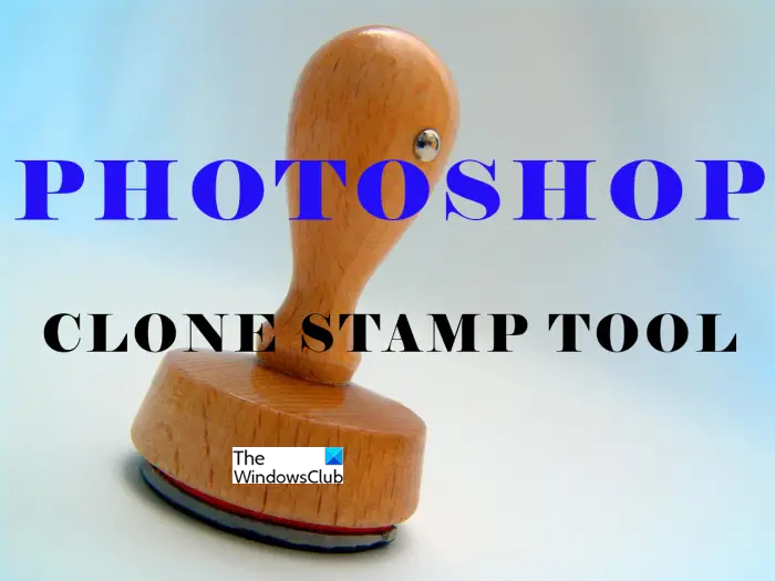 Using-the-Clone-Stamp-Feature-Image