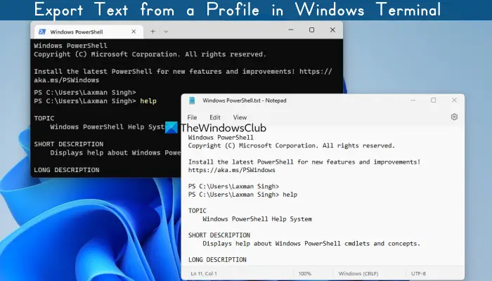 export text from profile windows terminal