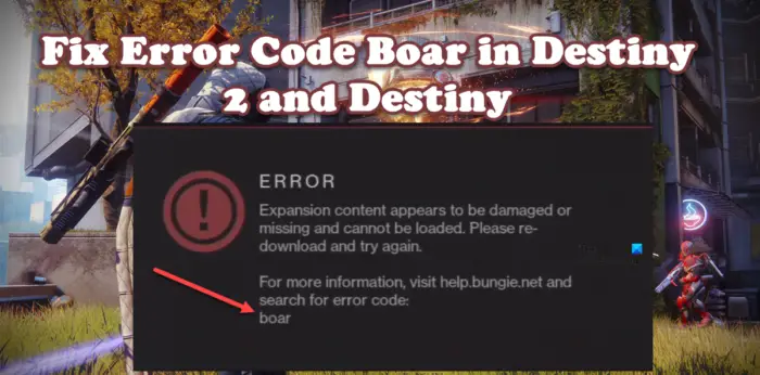 Error Code Boar in Destiny 2 and Destiny