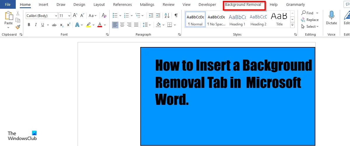How to insert and use Background Removal in Word