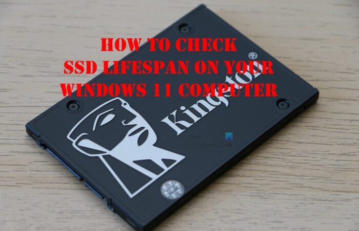 How to check SSD Lifespan on your Windows 11 computer