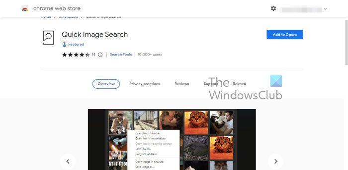 Quick Image Search Google Chrome