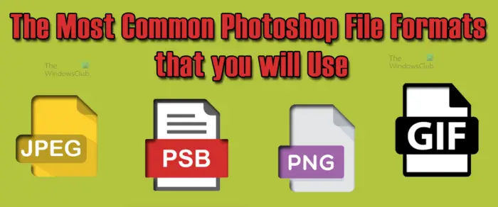 The most common Photoshop File Formats that you can use