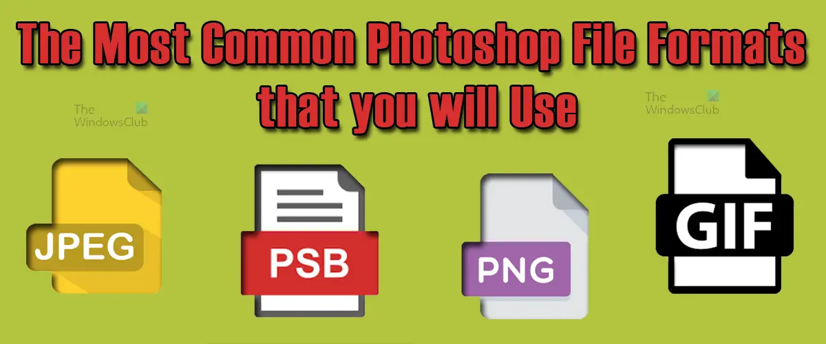 The-Most-Common-Photoshop-File-Formats-that-you-will-Use