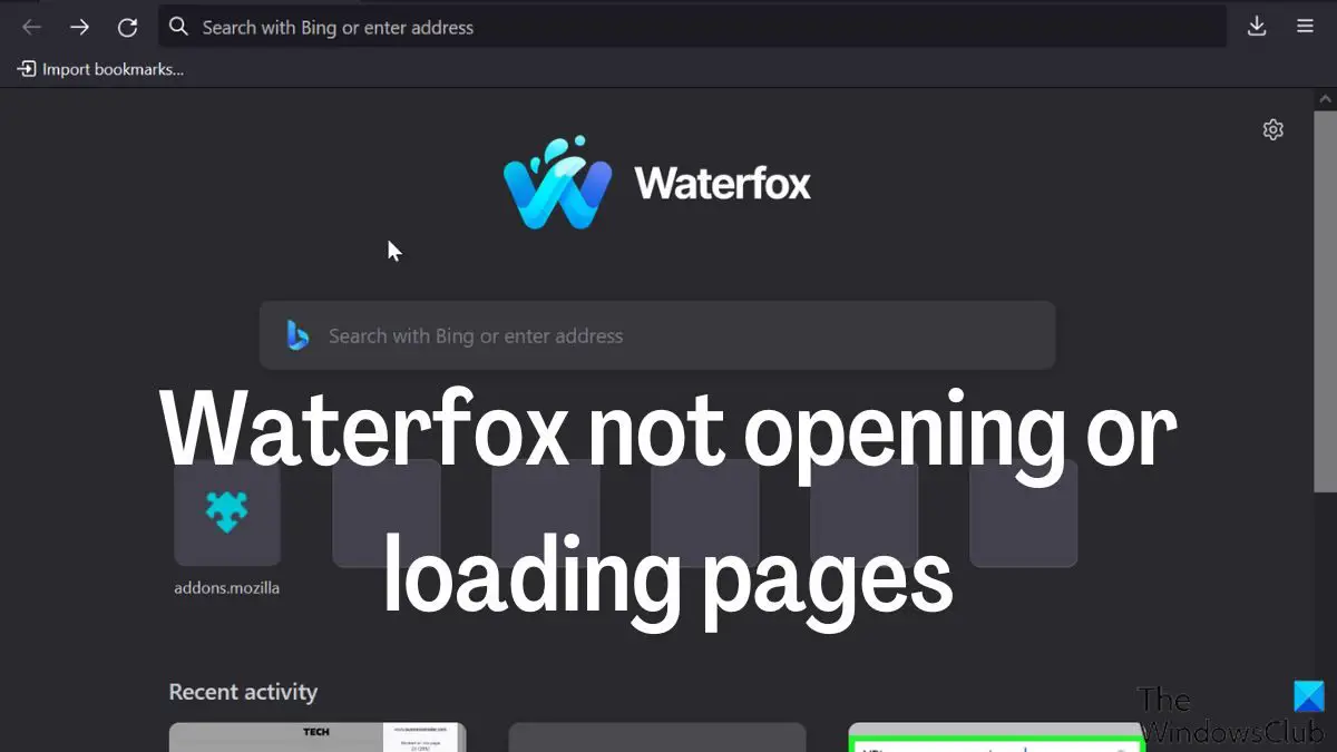 Waterfox not opening or loading pages