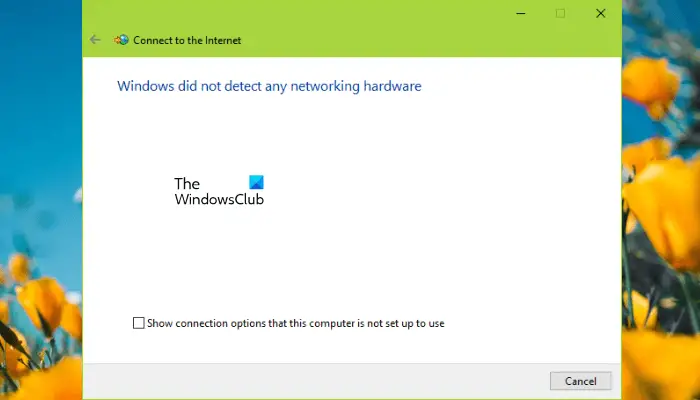 Windows did not detect any networking hardware