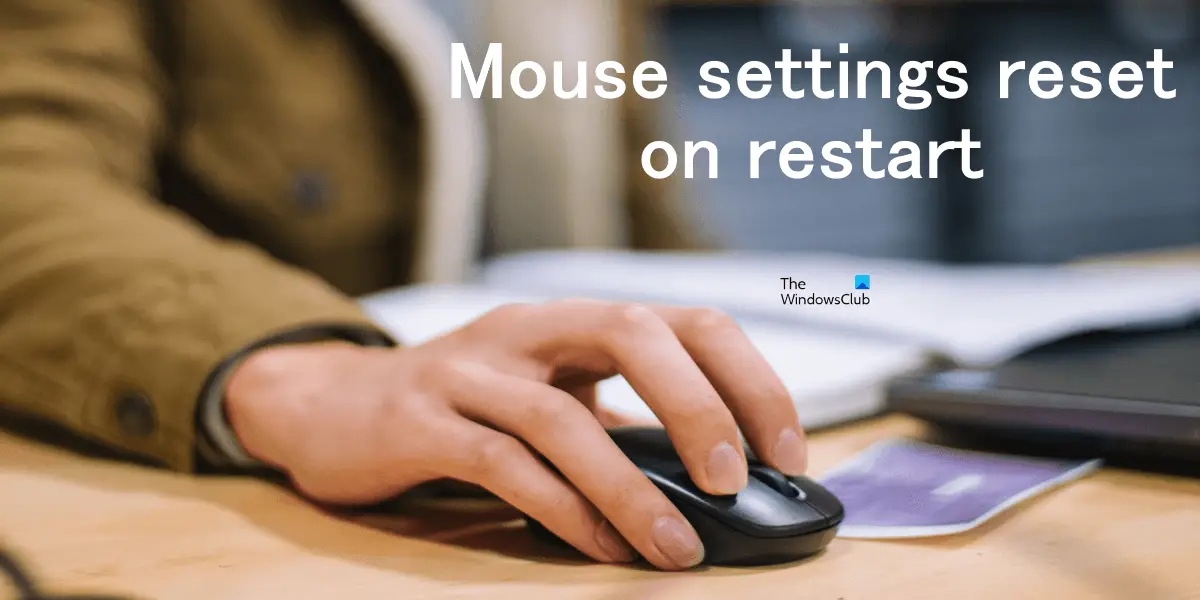 mouse settings or properties reset on restart