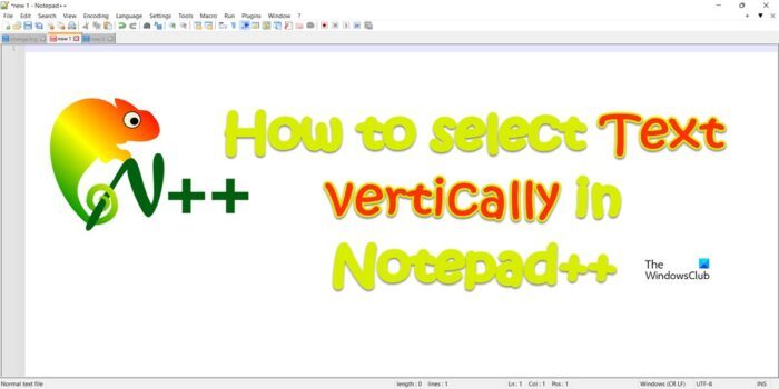 select Text vertically in Notepad++
