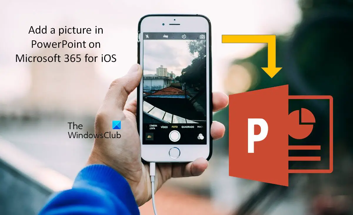 Add a picture in PowerPoint