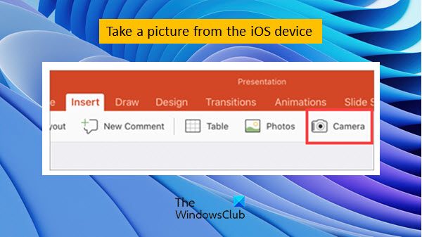 Add a picture in PowerPoint
