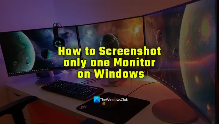 How to Screenshot only one Monitor on Windows