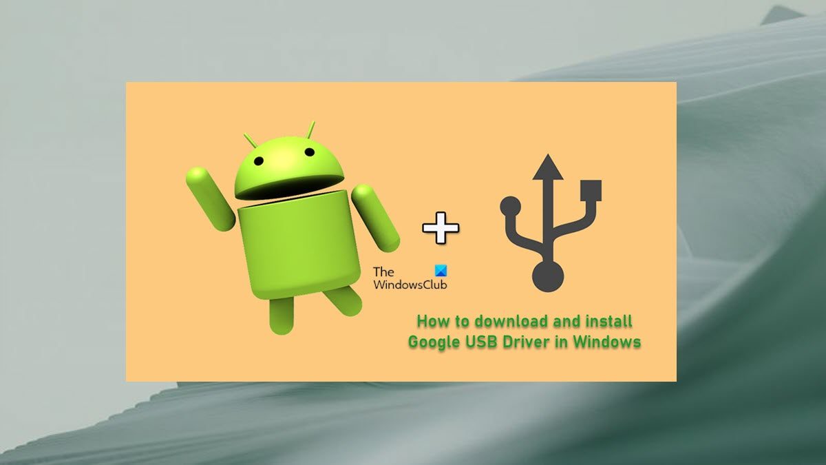 How do I install Google USB drivers on Windows 11?