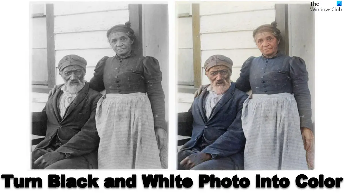 How to turn Black and White Photo into Color online free