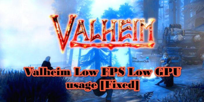 Valheim Low FPS Low GPU usage