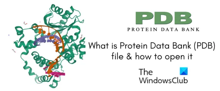 View Protein Data Bank (PDB) file