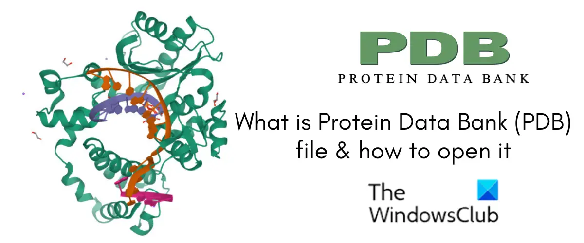 What is Protein Data Bank (PDB) file? How to open it in Windows?