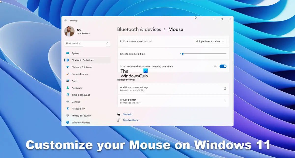 customize your Mouse on Windows