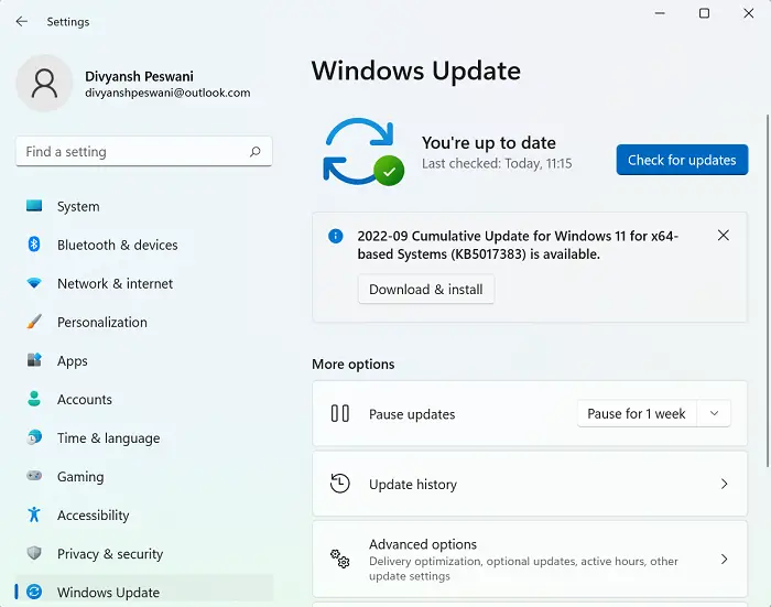 Initial checklist - Update Windows