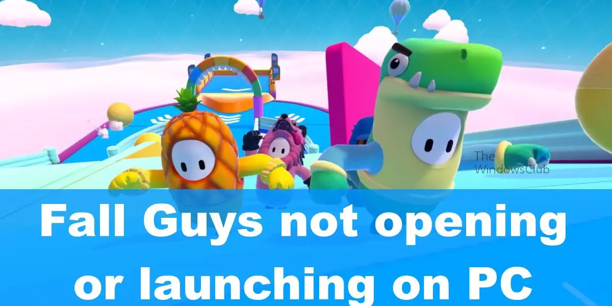 Fall Guys not opening or launching on PC