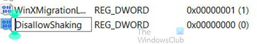 How to Enable or Disable Title Bar Shake in Windows 11- Name New Reg Entry