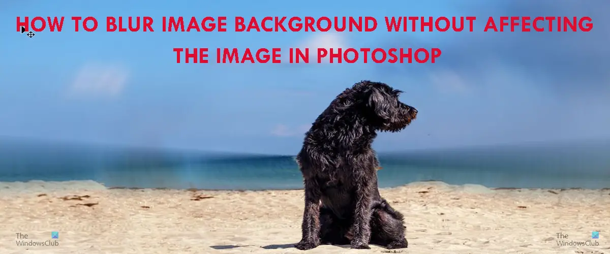 How to blur image background without affecting the image in Photoshop -