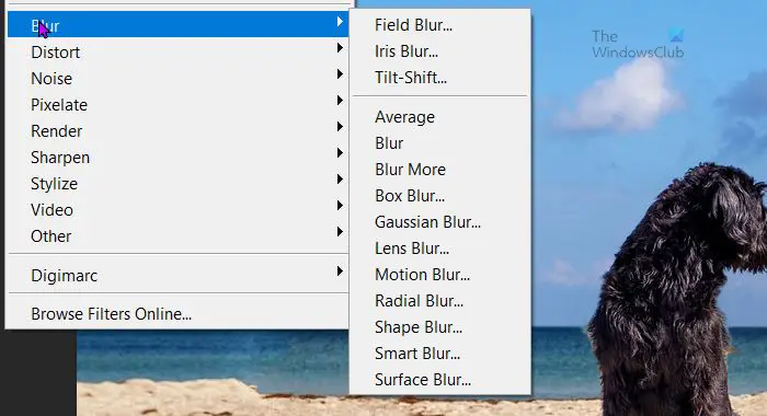 How to blur image background without affecting the image in Photoshop - Blur options