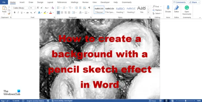 How to create a background with a pencil sketch effect in Word
