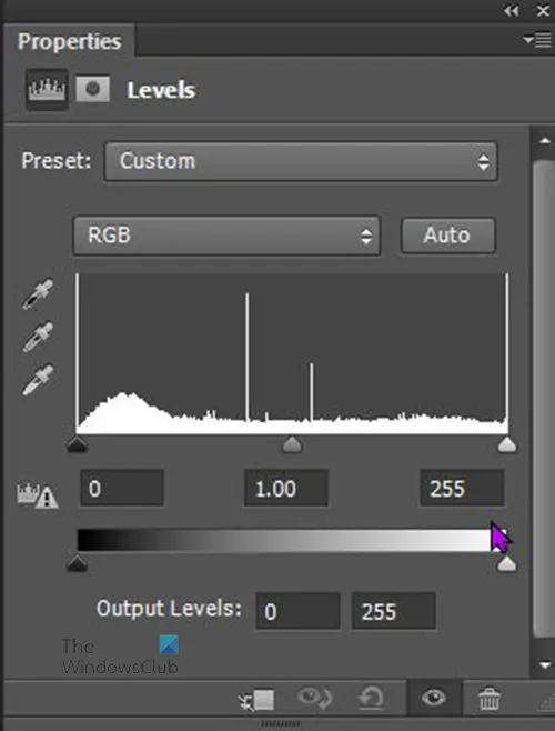 How to create silhouettes in Photoshop - Method 1 - Adjustment layer window - final