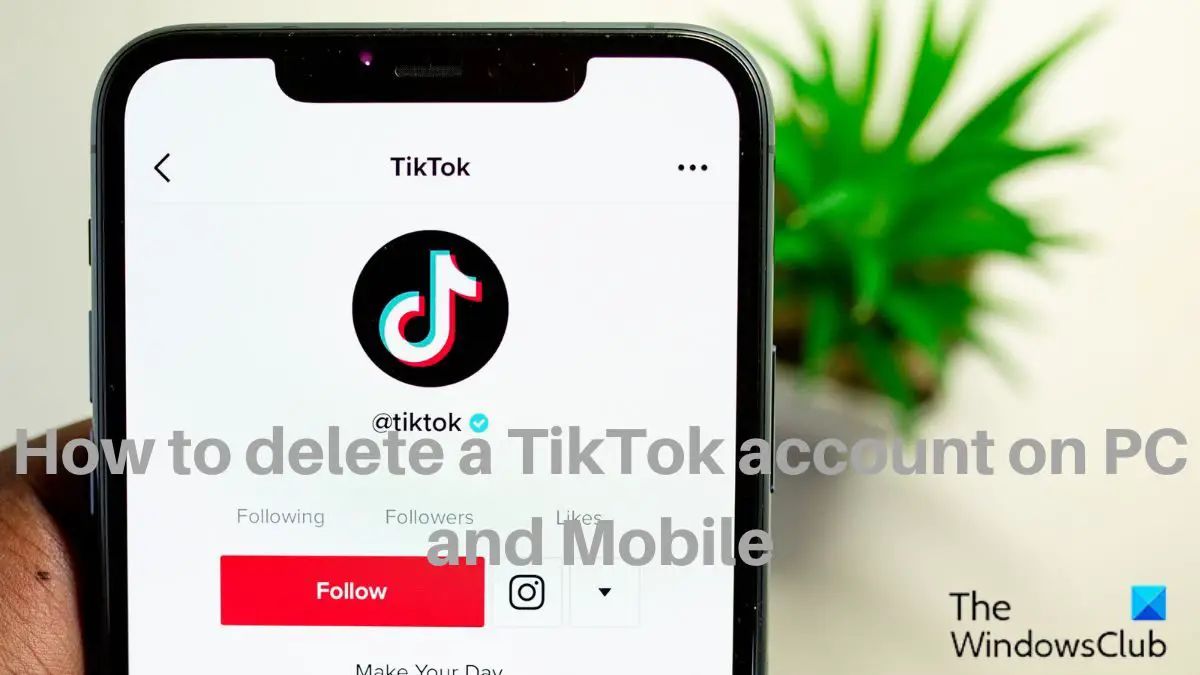 How to delete a TikTok account on PC and Mobile