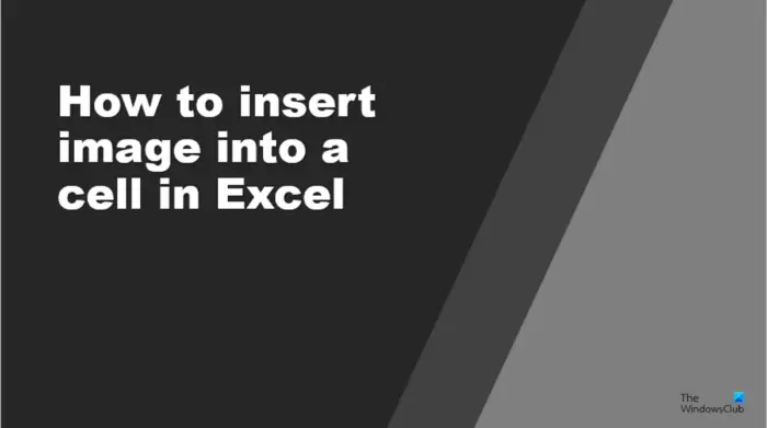 How to insert image into a cell in Excel
