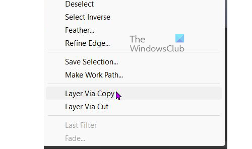 How to separate the subject from the background in Photoshop - Layer via copy