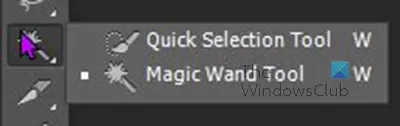 How to separate the subject from the background in Photoshop - Magic wand