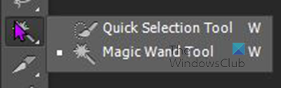 How to separate the subject from the background in Photoshop - Magic wand