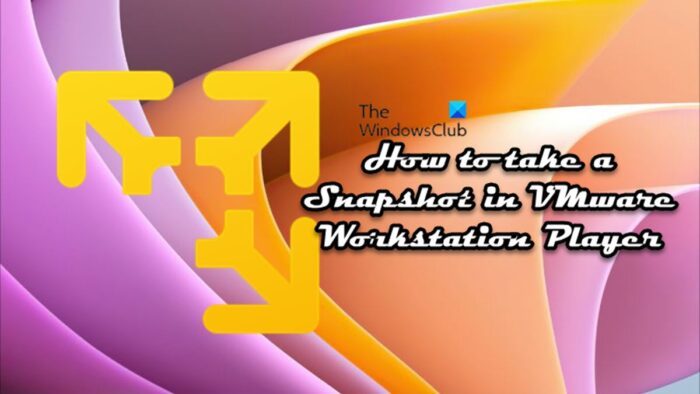 How to take a Snapshot in VMware Workstation Player