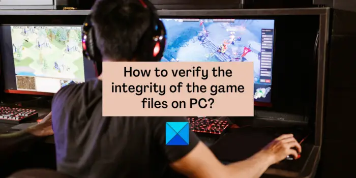 verify the integrity of the game files