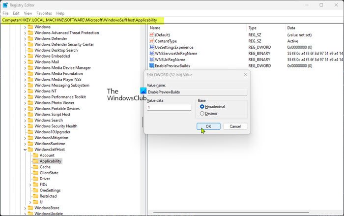 Modify Windows Registry-EnablePreviewBuilds registry key